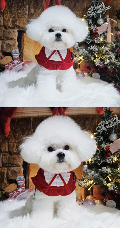 [NEW신상][무료배송] 리치독스 크리스마스 스커트 케이프 레드 3번째