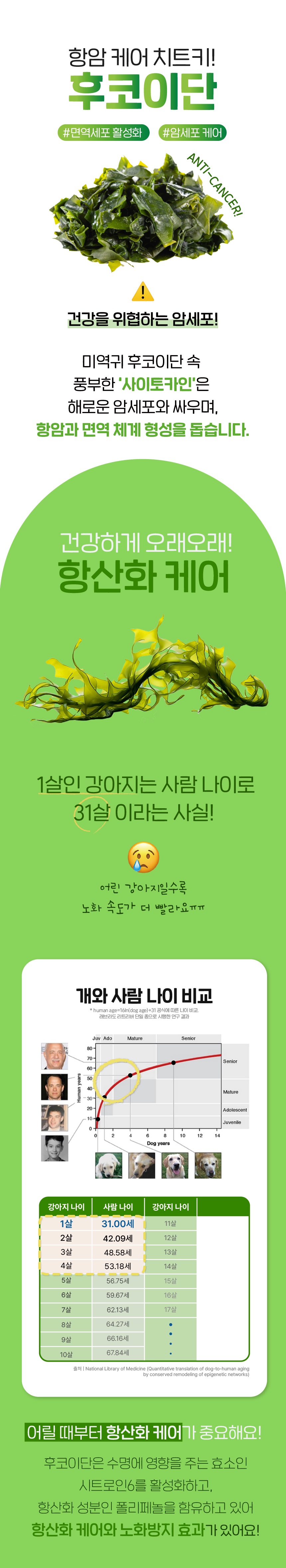 슈퍼포우 독 덴탈 후코이단츄 XS-L 4번째