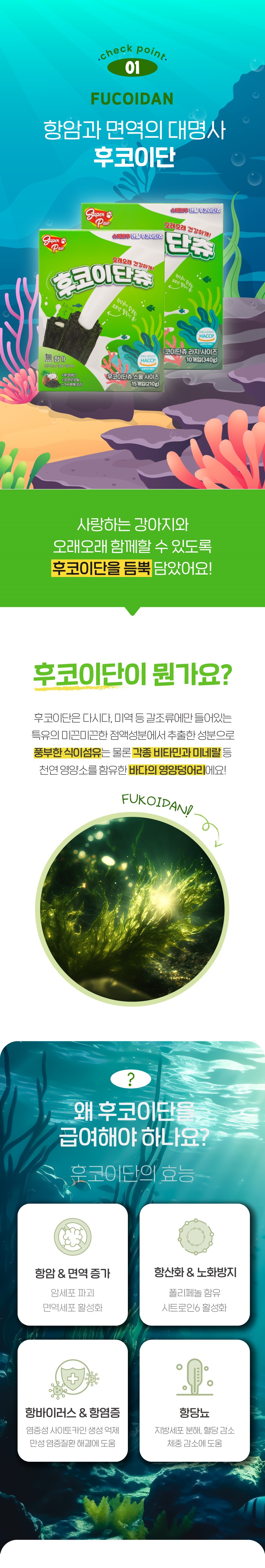 슈퍼포우 독 덴탈 후코이단츄 XS-L 3번째