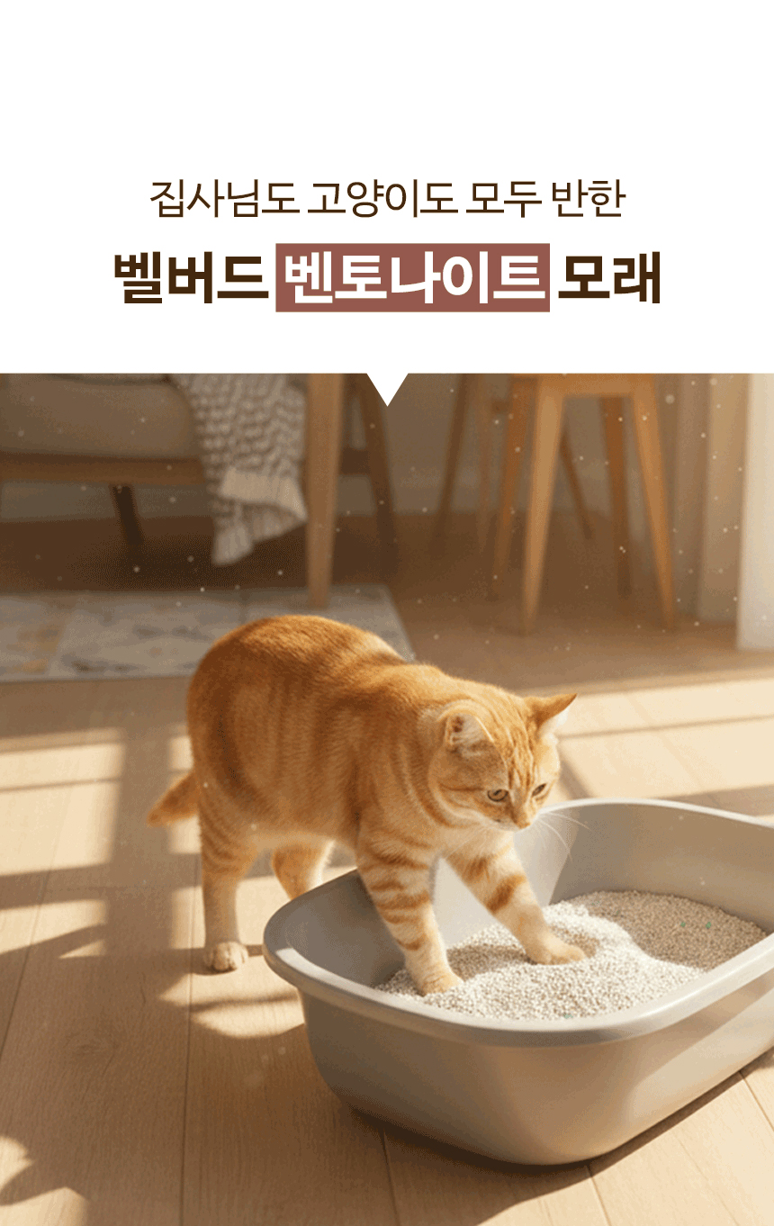 [무료배송] [4개] 벨버드 캣 벤토나이트 모래 베이비파우더향 5L 2번째