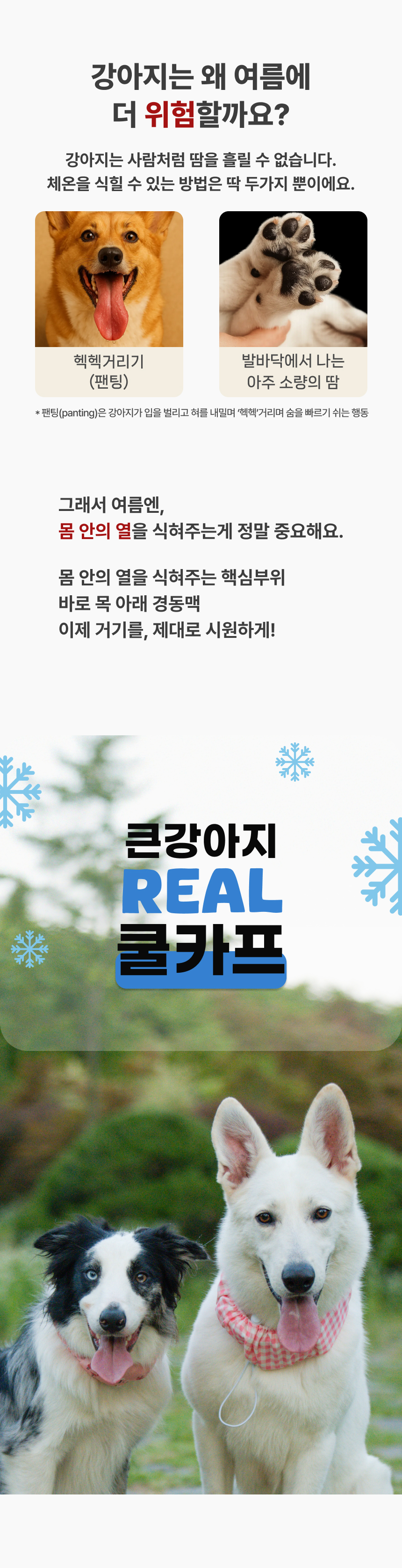 [NEW신상][무료배송] 큰강아지 리얼 쿨링 쿨스카프 10종 (S,M,L) 3번째