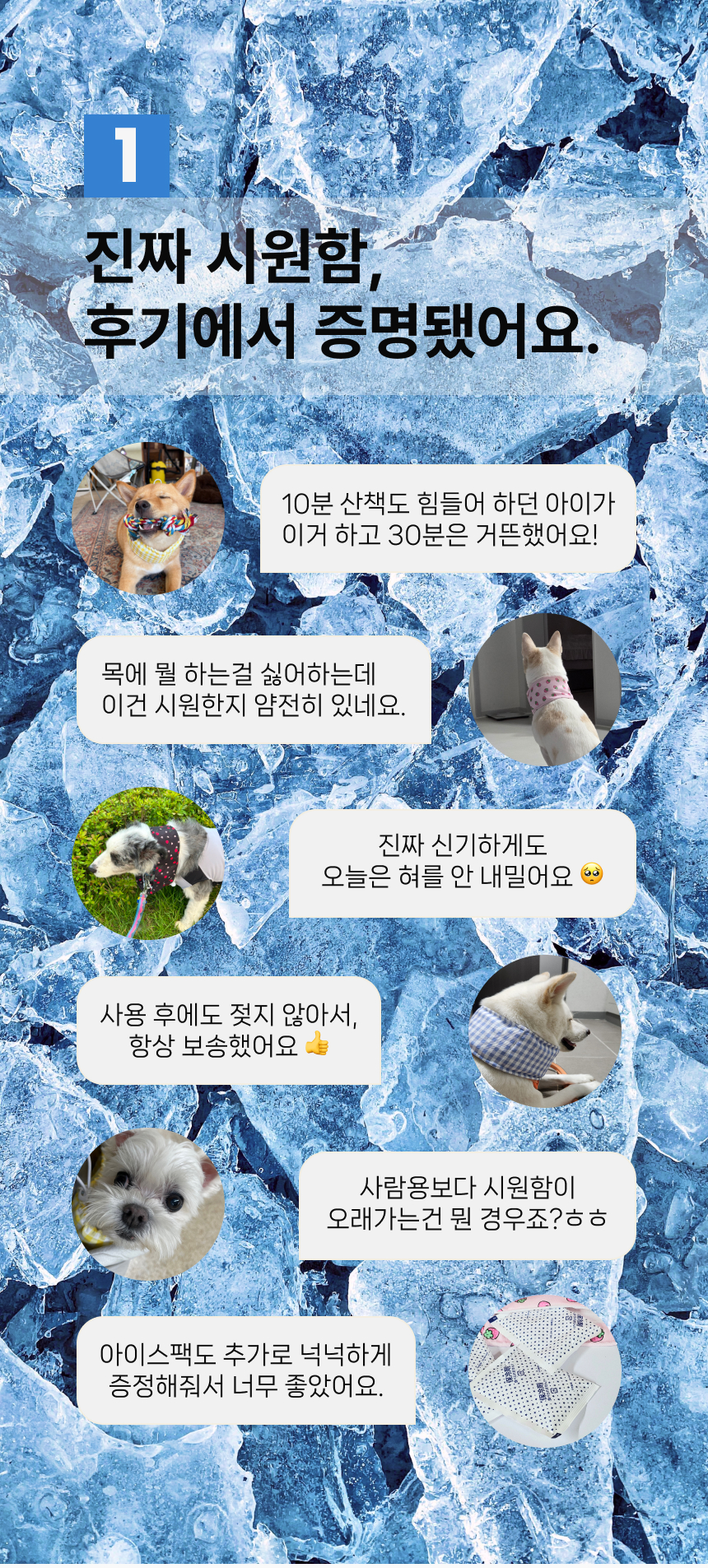 [NEW신상][무료배송] 큰강아지 리얼 쿨링 쿨스카프 10종 (S,M,L) 6번째