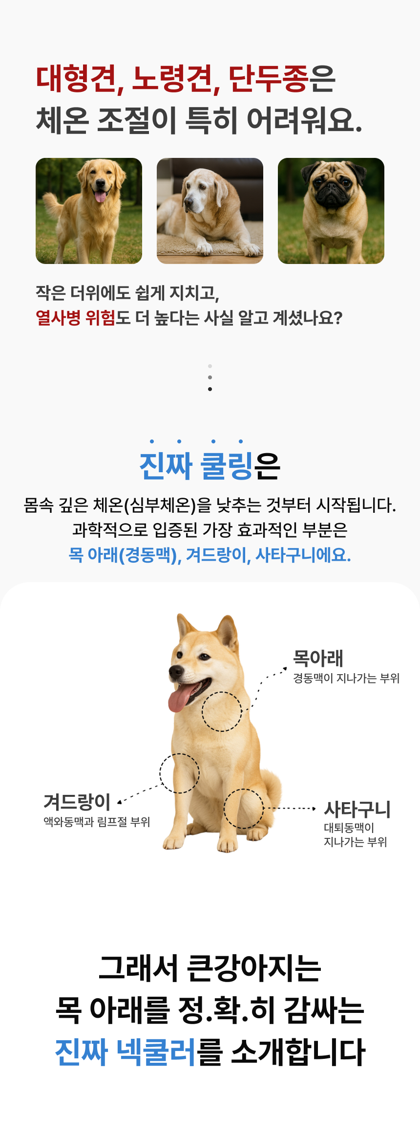 [NEW신상][무료배송] 큰강아지 리얼 쿨링 쿨스카프 10종 (S,M,L) 4번째