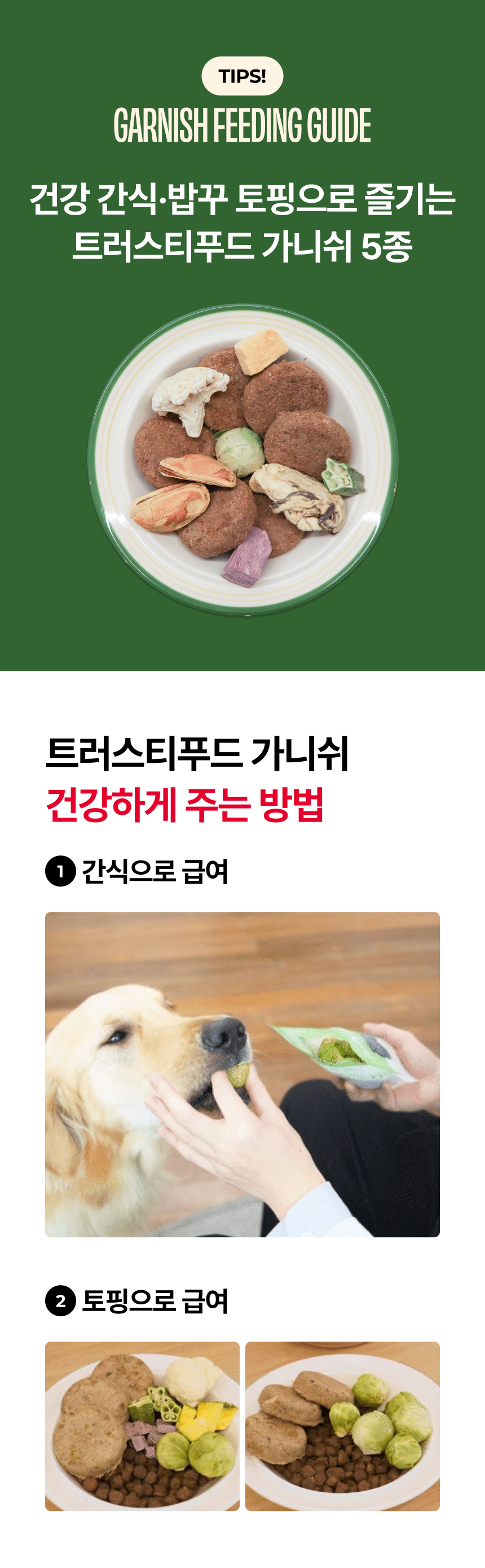 [NEW신상][무료배송] 트러스티푸드 가니쉬 동결건조 굴 50g 7번째
