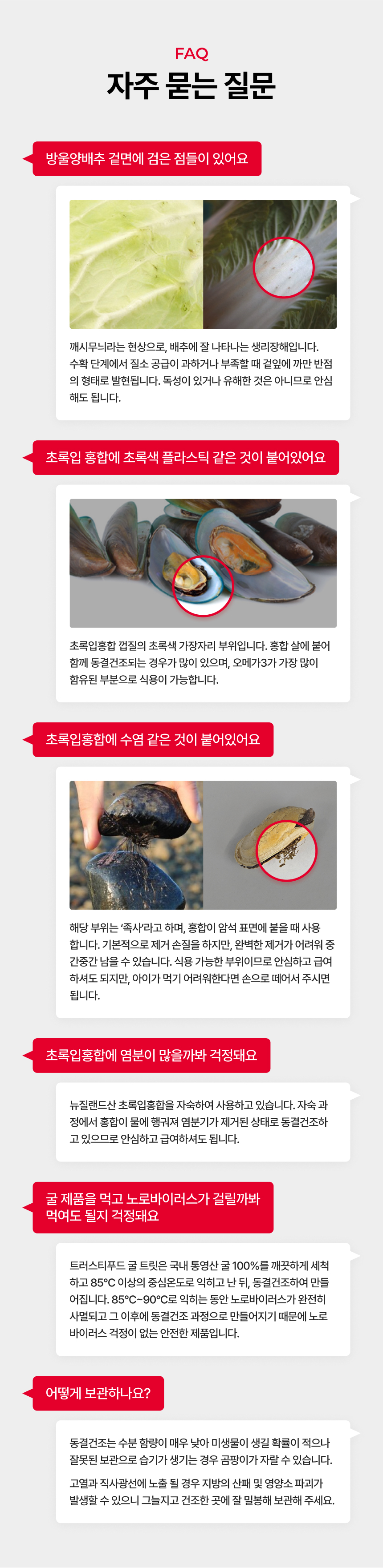 [NEW신상][무료배송] 트러스티푸드 가니쉬 동결건조 굴 50g 9번째