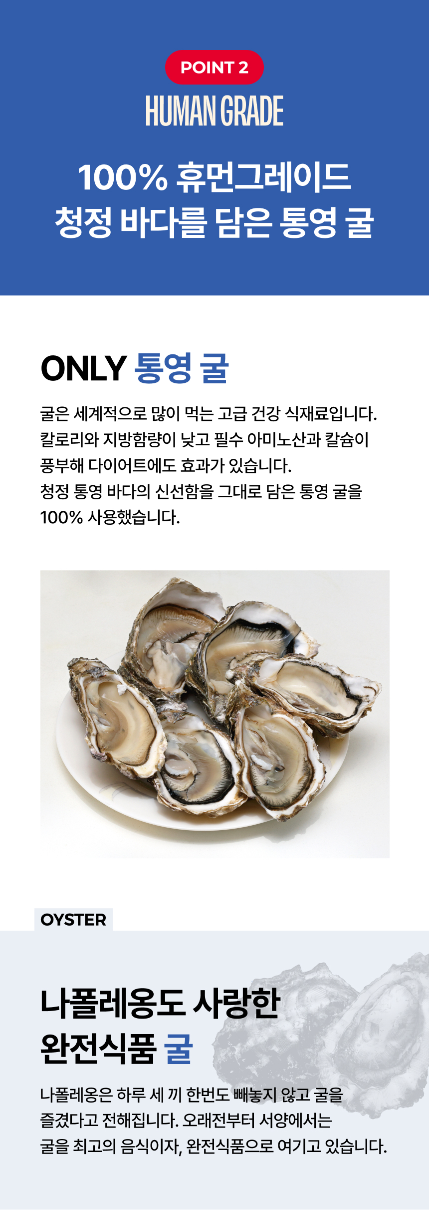 [NEW신상][무료배송] 트러스티푸드 가니쉬 동결건조 굴 50g 5번째