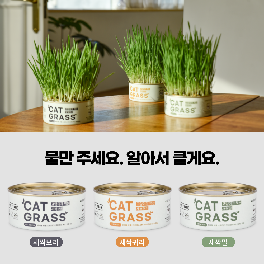 [NEW신상]펫팀 캣그라스 고양이풀 보리/귀리/밀 1번