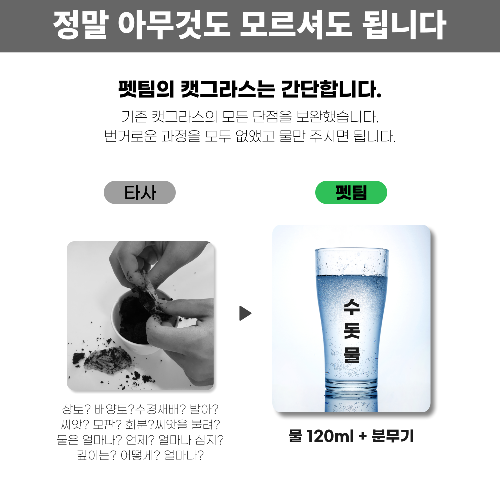 [NEW신상]펫팀 캣그라스 고양이풀 보리/귀리/밀 6번
