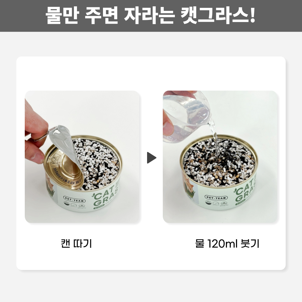 [NEW신상]펫팀 캣그라스 고양이풀 보리/귀리/밀 2번