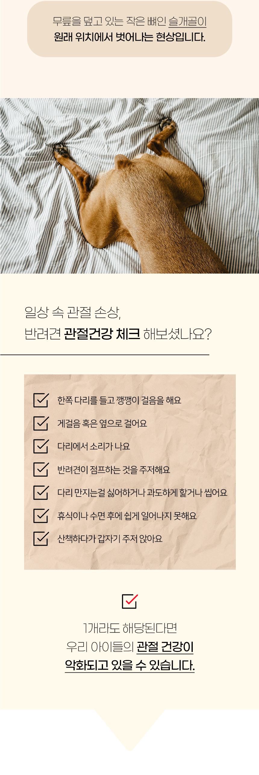 [NEW신상][무료배송] 개과천선 독 클라임 펫스텝 계단 그레이 (2단/3단/4단) 3번째