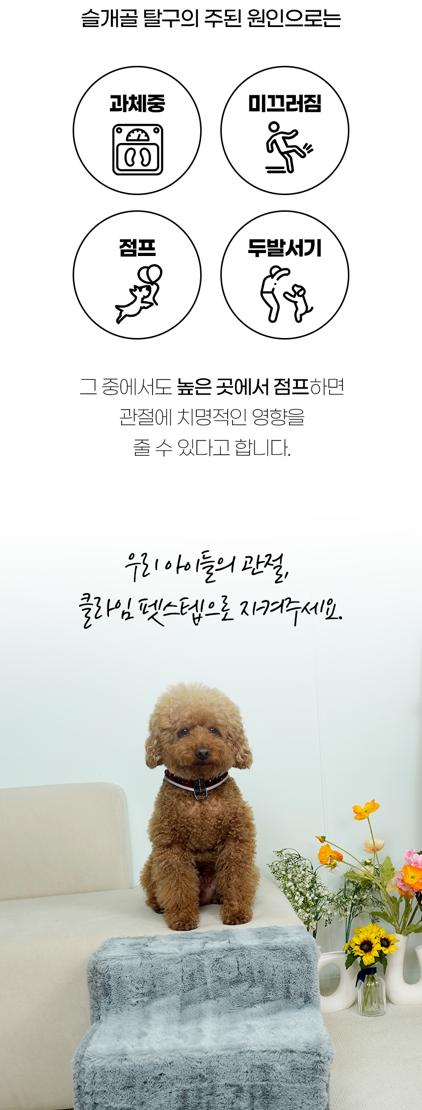 [NEW신상][무료배송] 개과천선 독 클라임 펫스텝 계단 그레이 (2단/3단/4단) 4번째