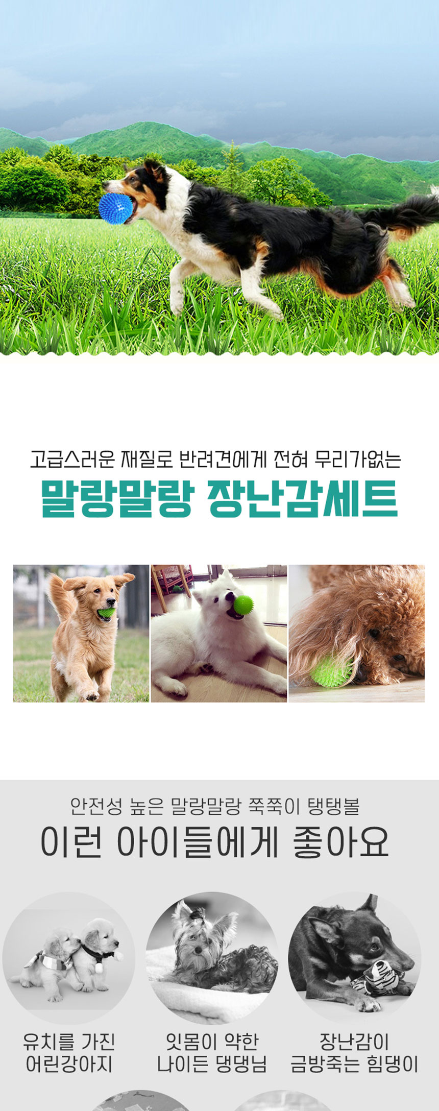 [무료배송] 딩동펫 반려동물 강아지 쭉쭉이탱탱볼 2종/3종 세트 소형/중형/대형 2번째