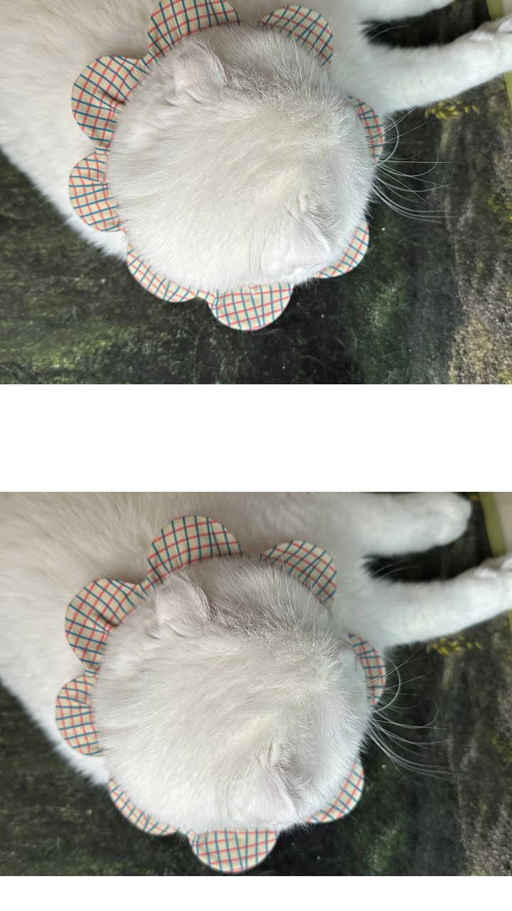 [NEW신상][무료배송] 사루루 srr 감성 꽃받침 넥카라 넥케이프 29번째