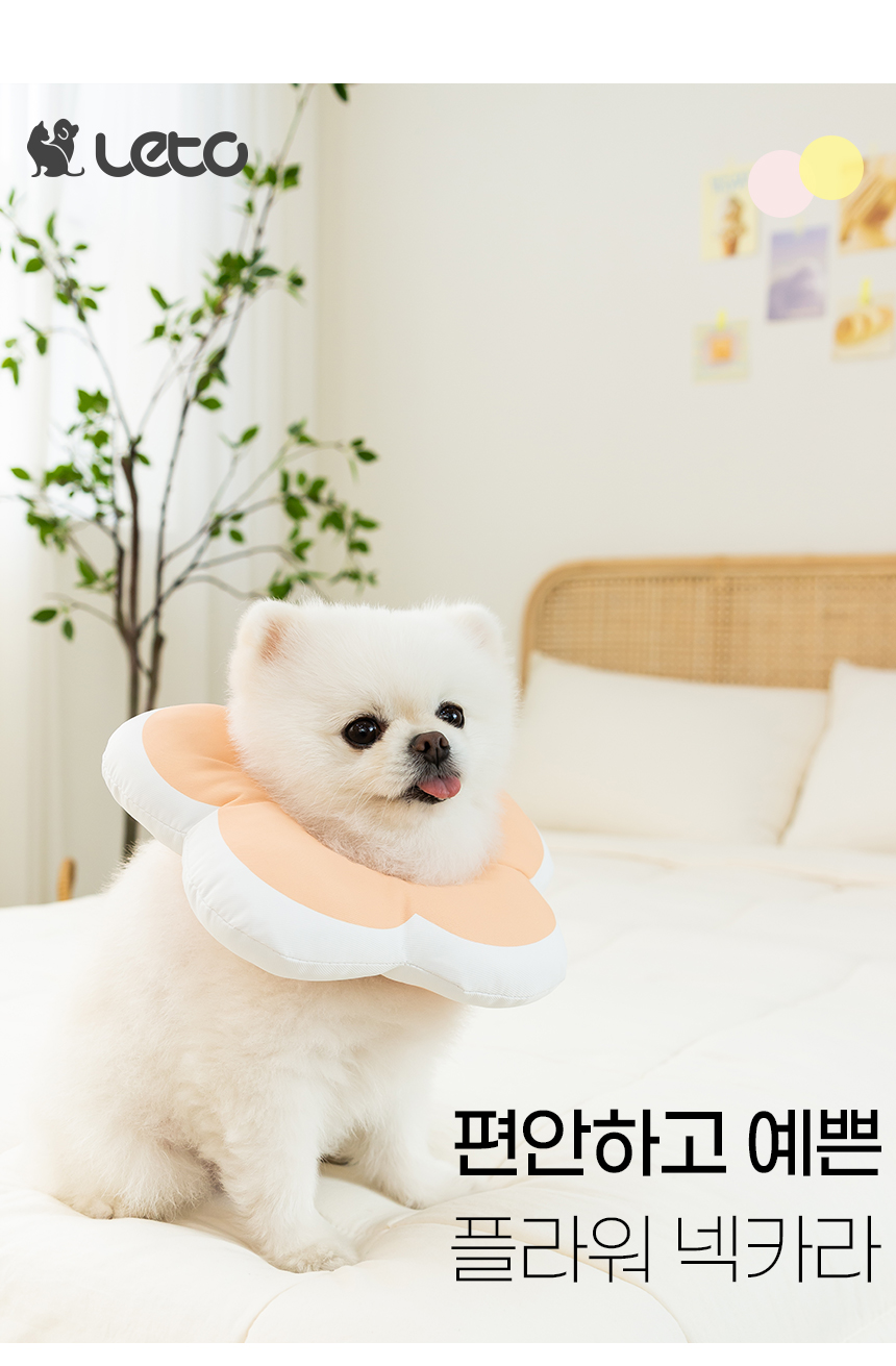 [무료배송] 레토 강아지 고양이 넥카라 플라워 방수 초경량 대형견 소형견 LNC-F02 3번째