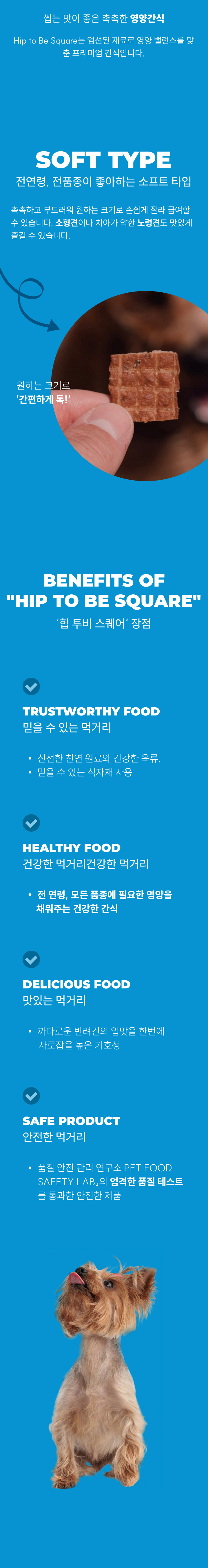[NEW신상][무료배송] [3개] 루시펫 힙투비스퀘어 도그트릿 170g 3번째