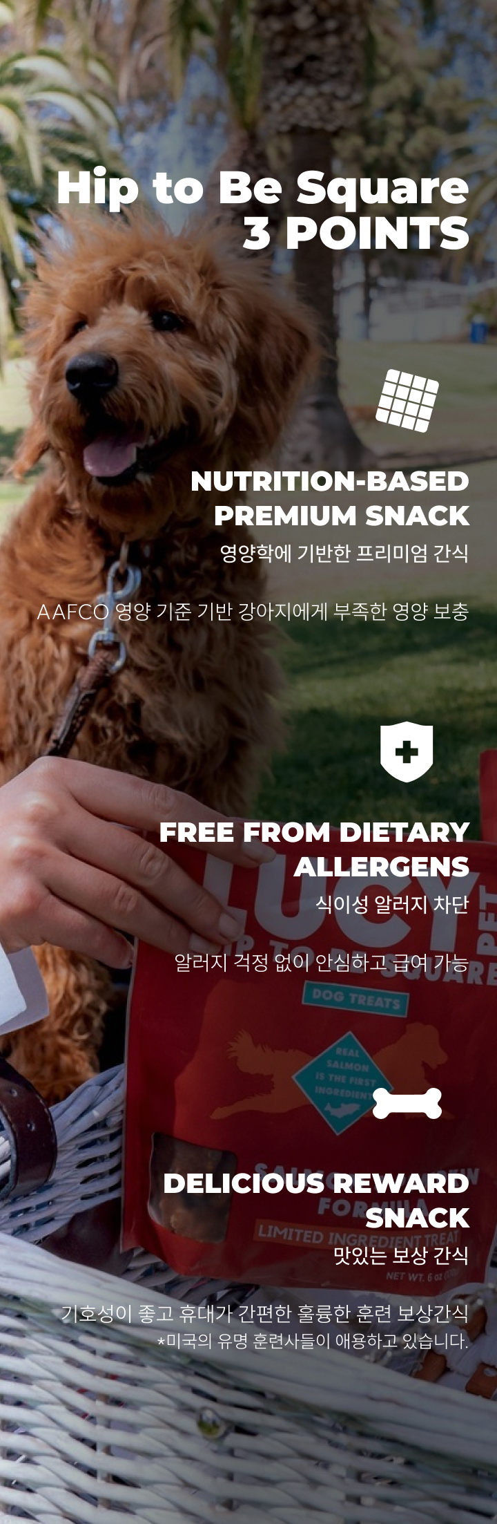[NEW신상][무료배송] [3개] 루시펫 힙투비스퀘어 도그트릿 170g 5번째