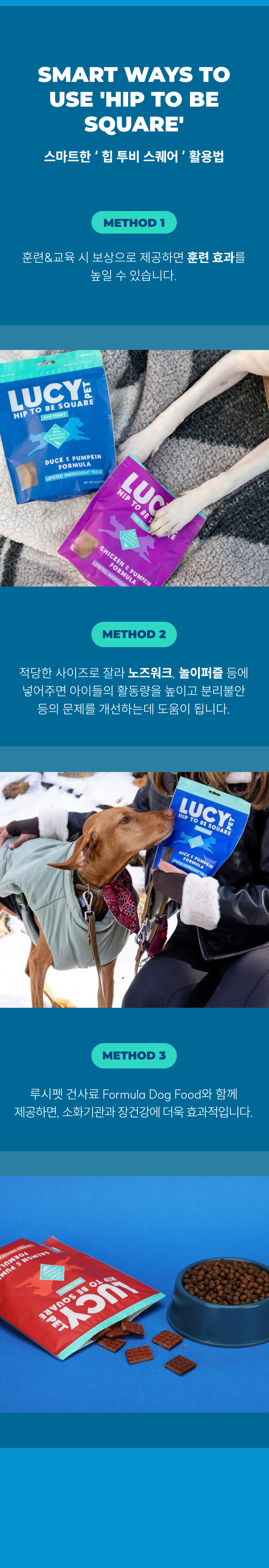 [NEW신상][무료배송] [3개] 루시펫 힙투비스퀘어 도그트릿 170g 4번째