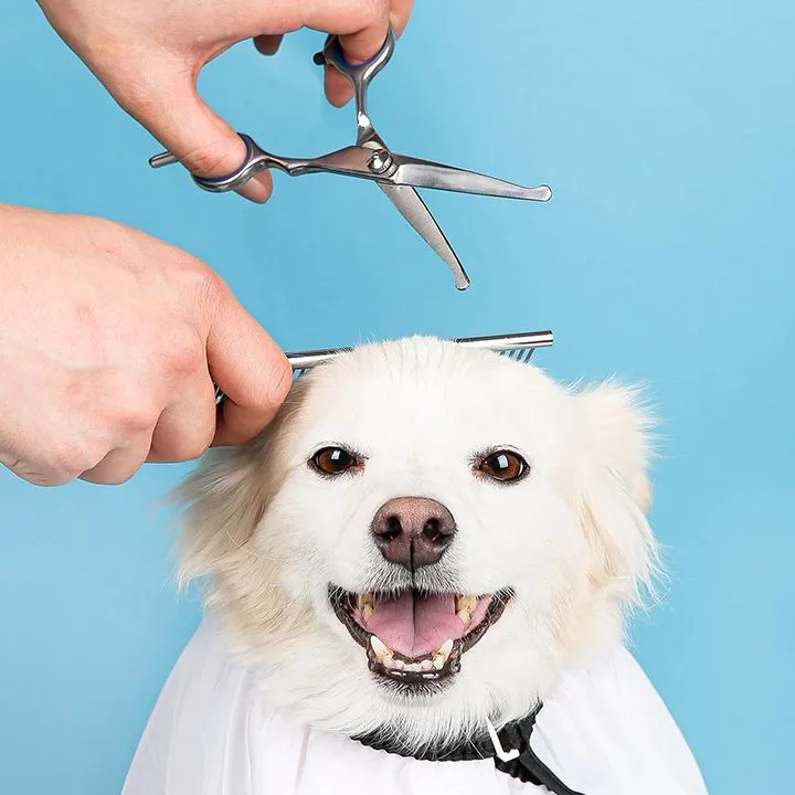펫홀릭 안전 미용가위세트
