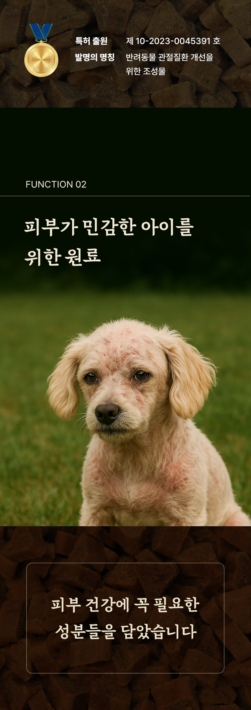 [무료배송] 데이스포 독 명품수제사료 바다식단 1kg 16번째