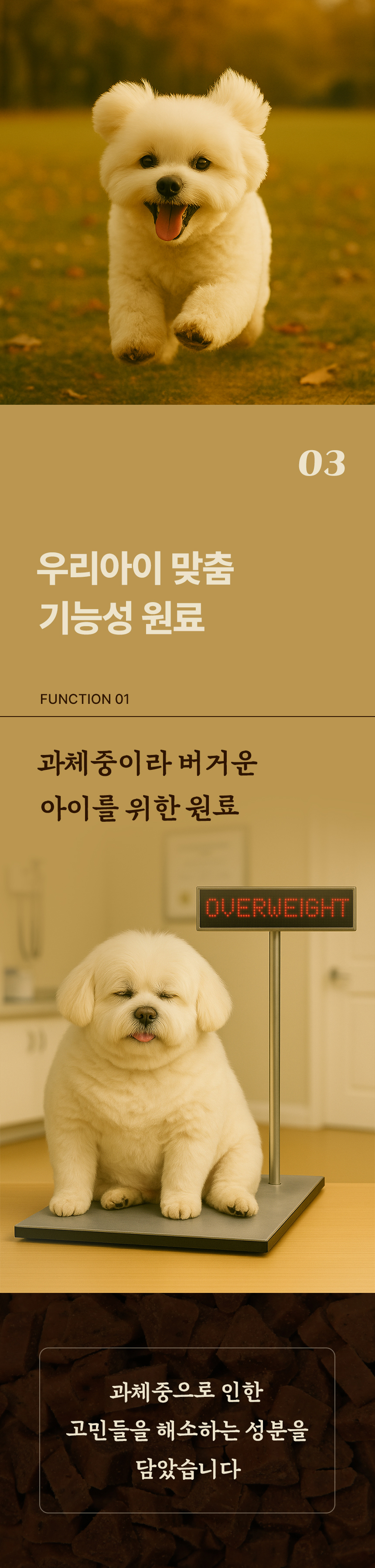 [무료배송] 데이스포 독 명품수제사료 바다식단 1kg 13번째