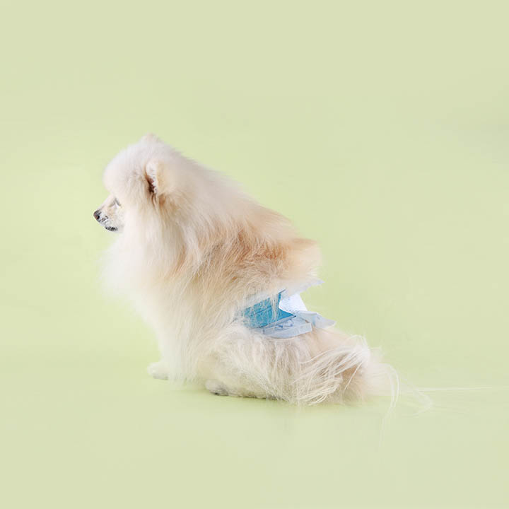 아몬스 남아용 매너벨트 기저귀 10p 초소형/소형/중형 1번