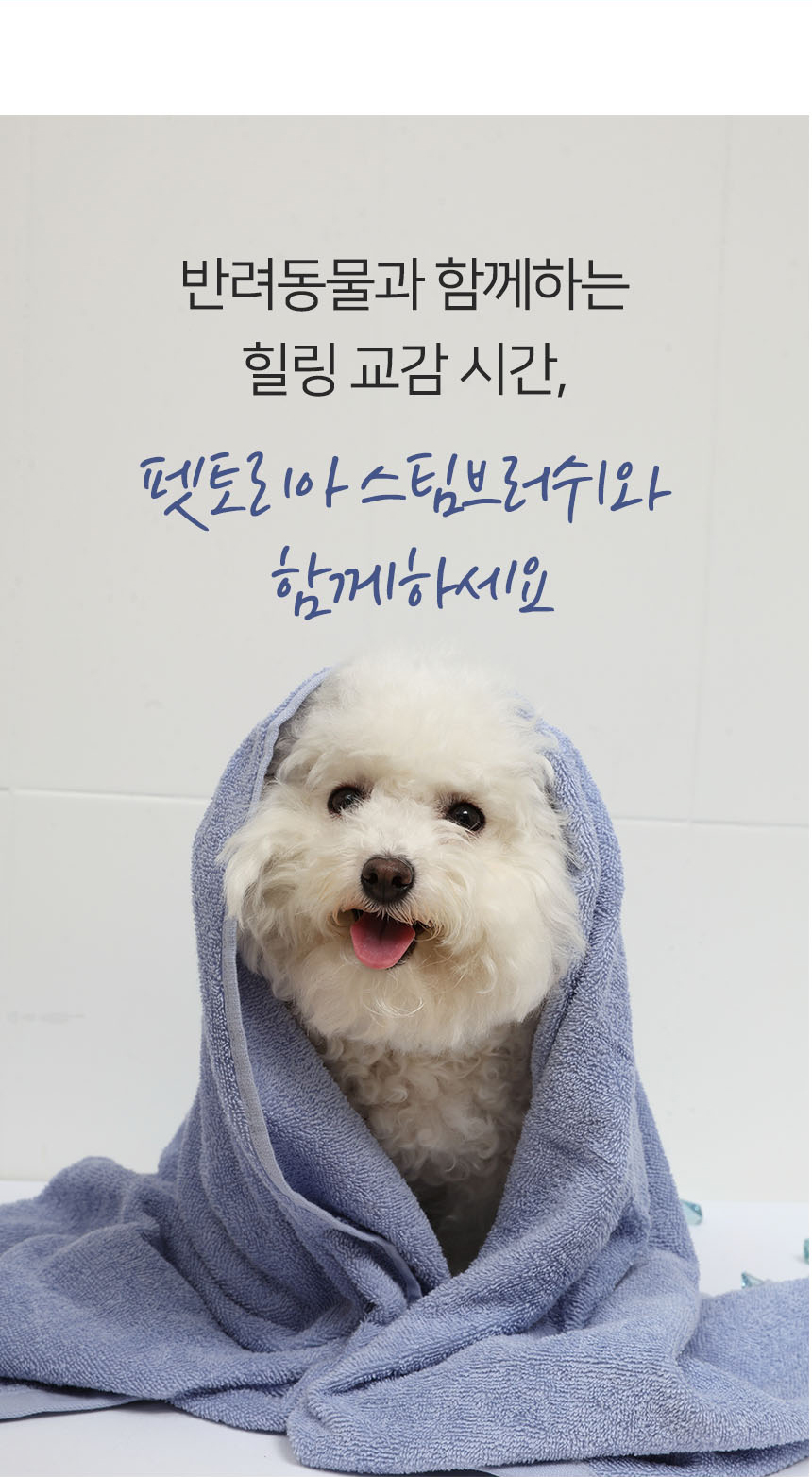 [NEW신상]펫토리아 롤리팝 원터치 고양이 강아지 스팀 브러쉬 20번째