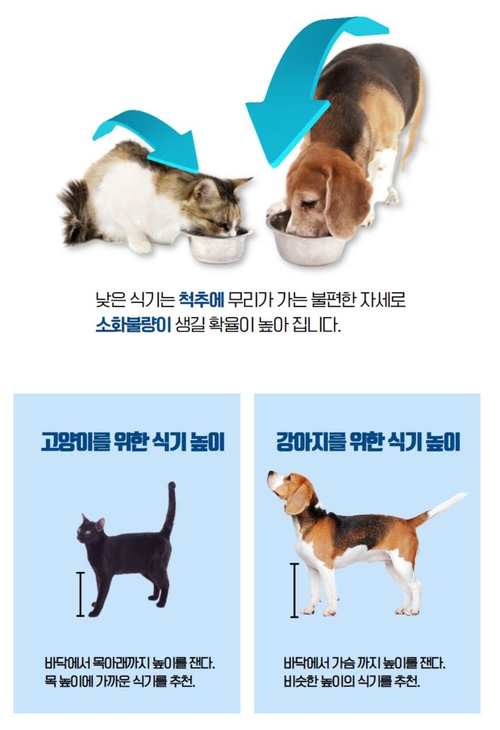 멍해묘해 레인볼 S 화이트/핑크/그레이/옐로우 4번째