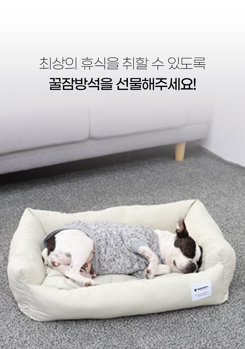 [NEW신상][무료배송] 개과천선 푸리 방석 (핑크/진그레이/민트 블루) 3번째