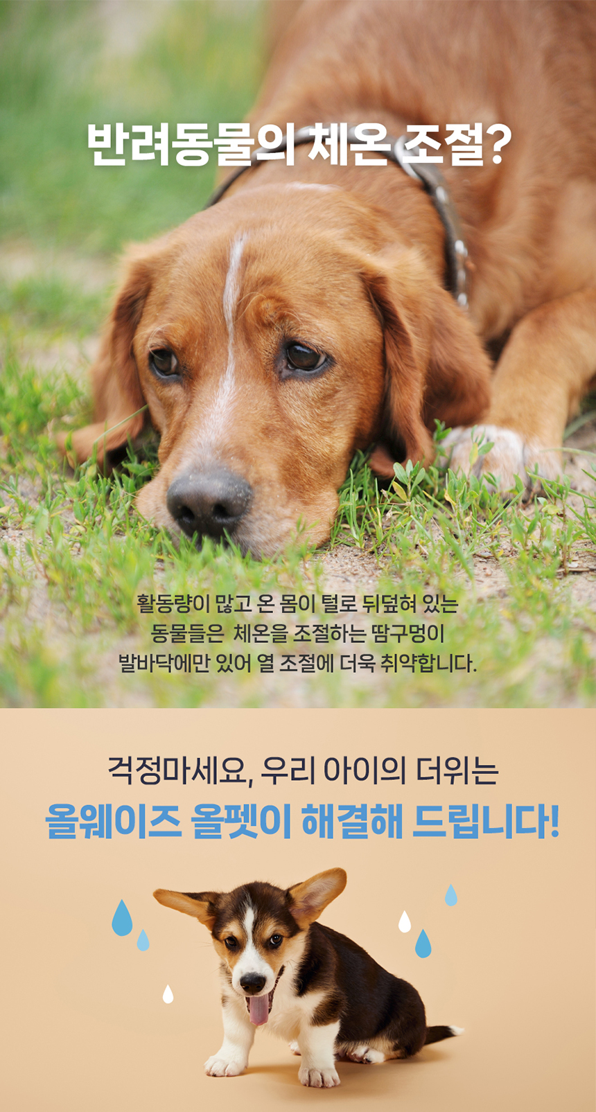 [무료배송] 접촉냉감 누빔 강아지 쿨매트 고양이 아이스패드 냉감 매트 2번째