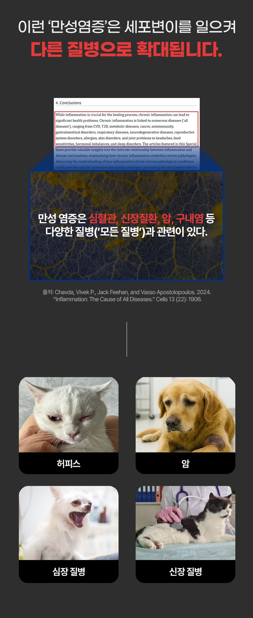 [브랜드전]웰찹 펫 오메가3 트리플 r-TG 500 30일 3번째