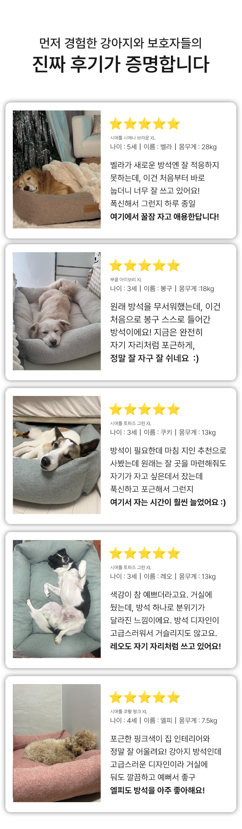 [NEW신상][무료배송] 스크러프 시애틀 범퍼베드 XL 2번째