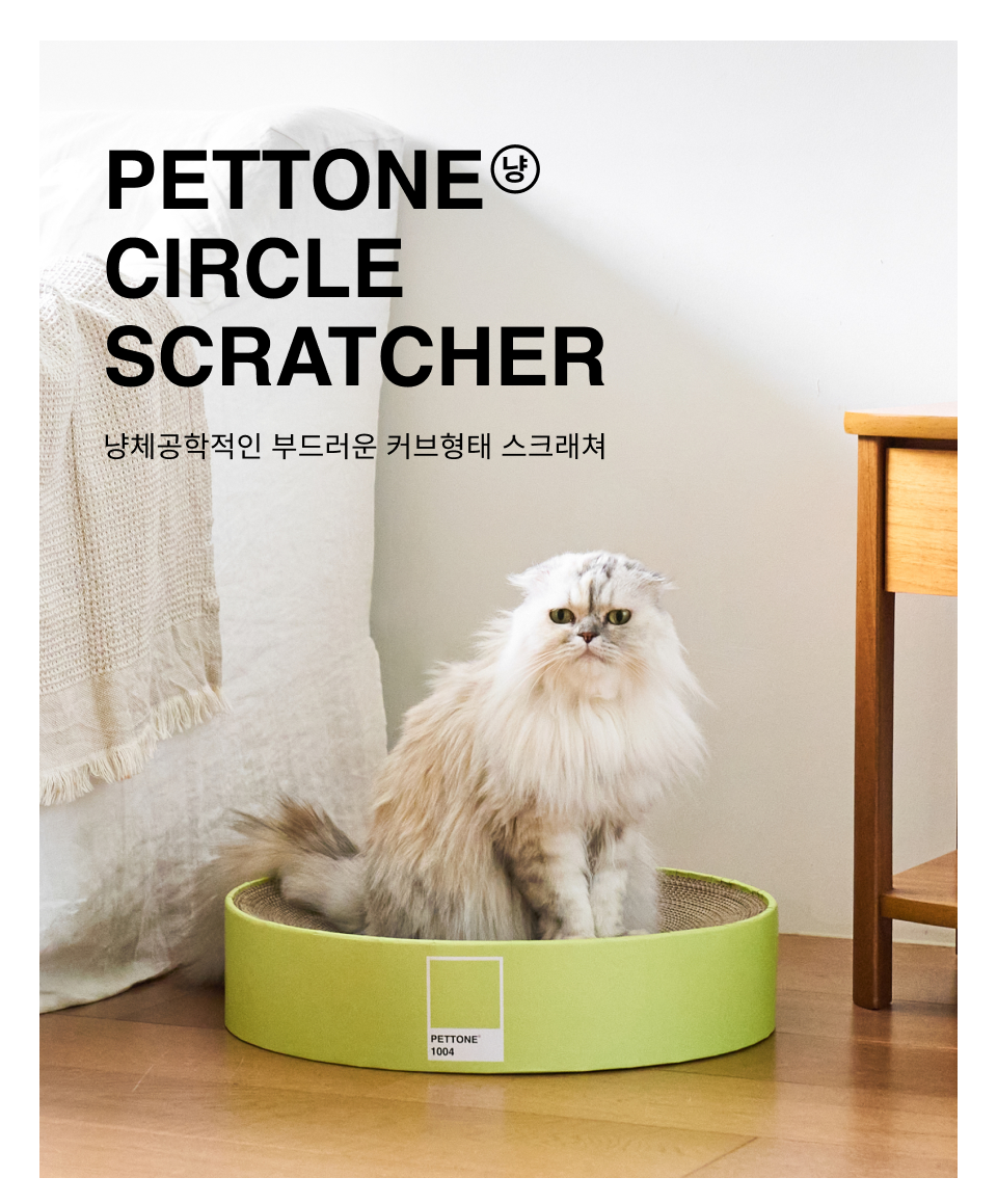 [NEW신상]펫톤 빅써클 스크래쳐 라이트그린 1번째