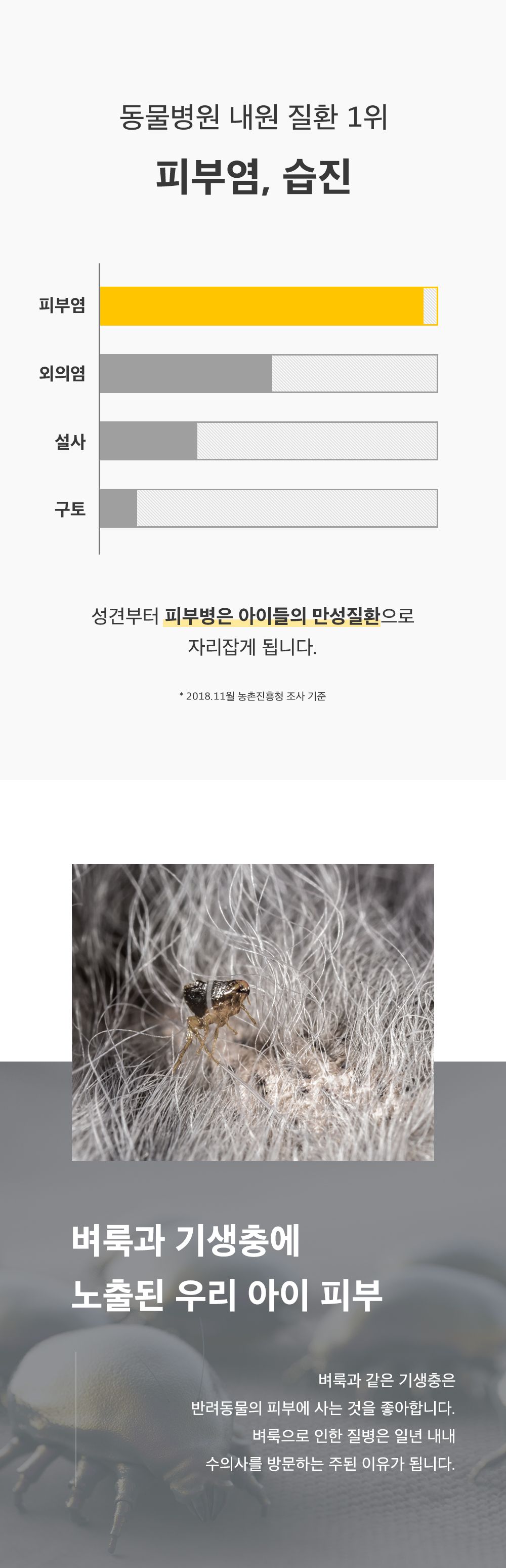 마이펫닥터 메디독스 연고 30g 2번째