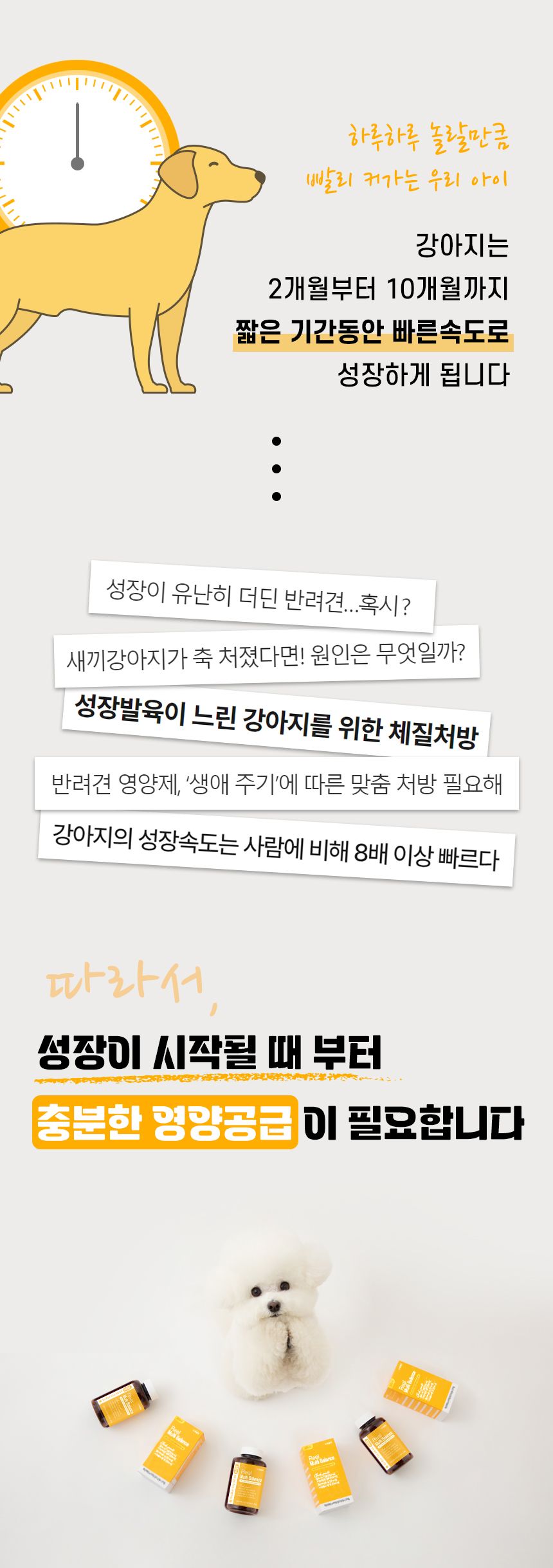 펫생각 독 미니 데일리케얼 슈퍼리얼 멀티밸런스 66g 4번째