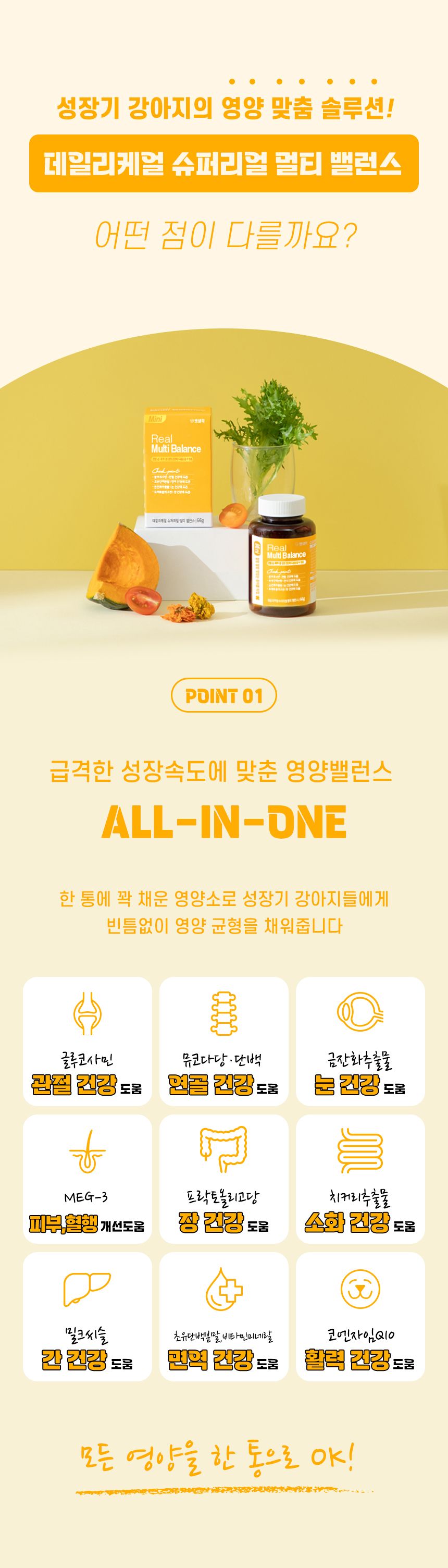 펫생각 독 미니 데일리케얼 슈퍼리얼 멀티밸런스 66g 6번째