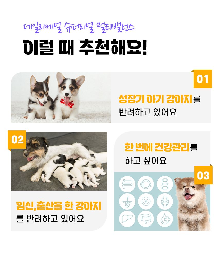 펫생각 독 미니 데일리케얼 슈퍼리얼 멀티밸런스 66g 11번째