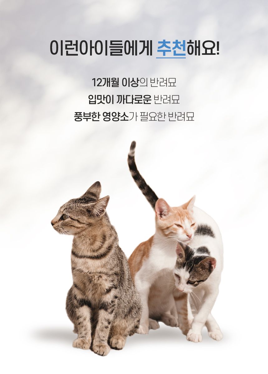 보나시보 캣 램&라이스 어덜트 5kg 5번째