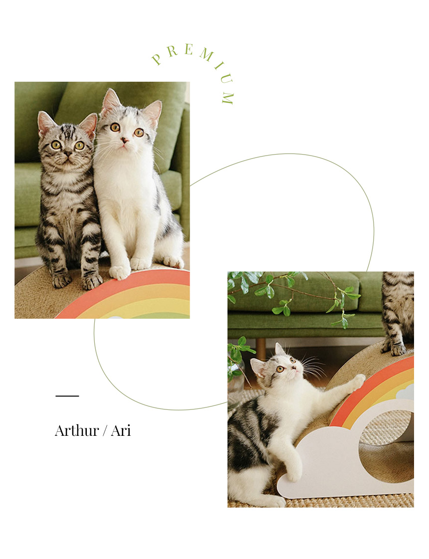 [무료배송] 아서아리 고양이 무지개 스크래쳐 숨숨집 하우스 16번째