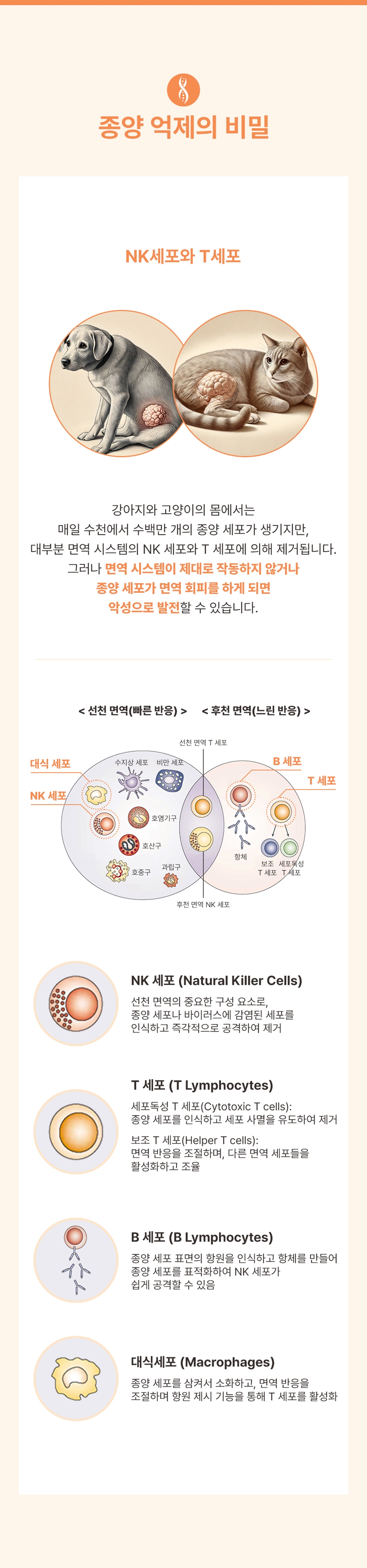 [NEW신상][무료배송] 브랜바인 엔케이티 셀벳 면역 종양 대비 천연스테로이드 천연항생제 (54g) 5번째