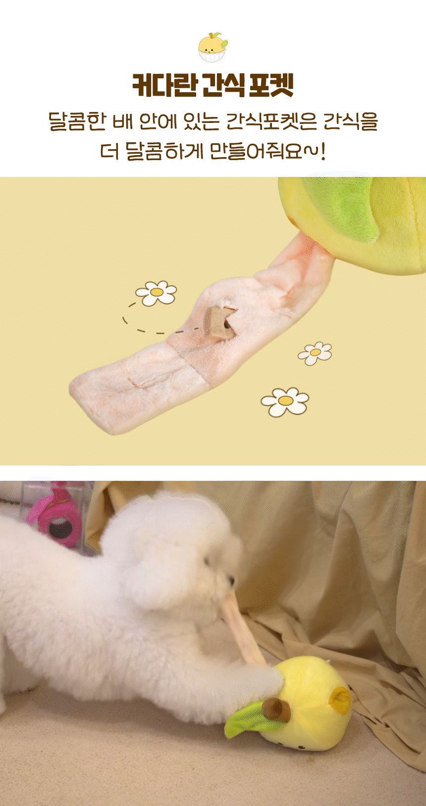[무료배송] 펫베오 독 애벌레가 파먹은 꿀배 삑삑이 노즈워크 장난감 9번째