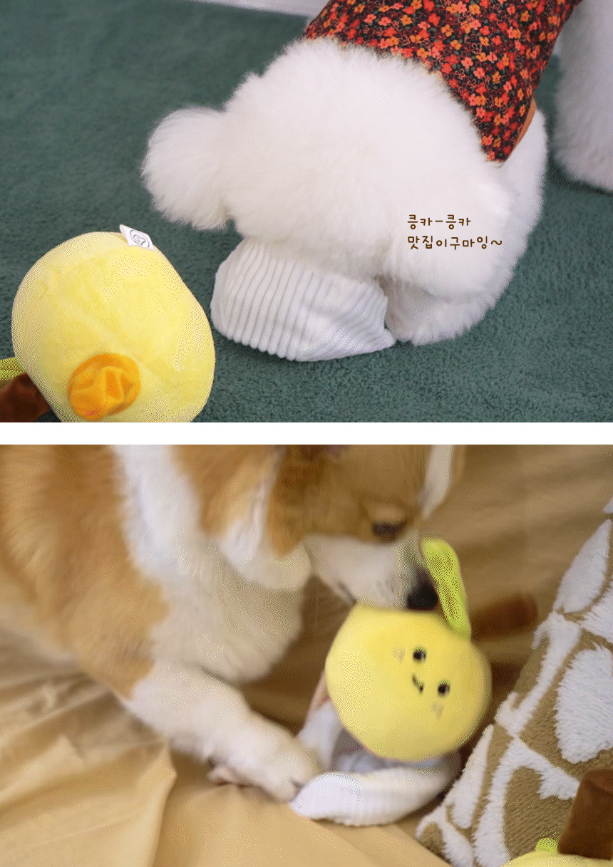 [무료배송] 펫베오 독 애벌레가 파먹은 꿀배 삑삑이 노즈워크 장난감 12번째