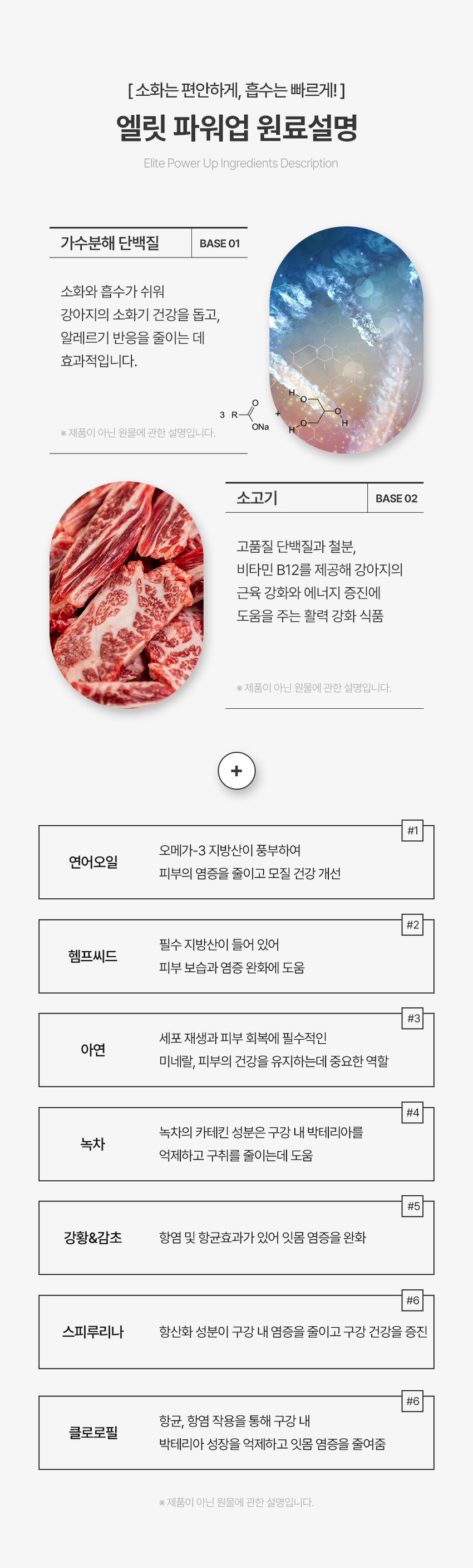[무료배송] 엘릿 엘리트 파워업 간식 300g 28번째