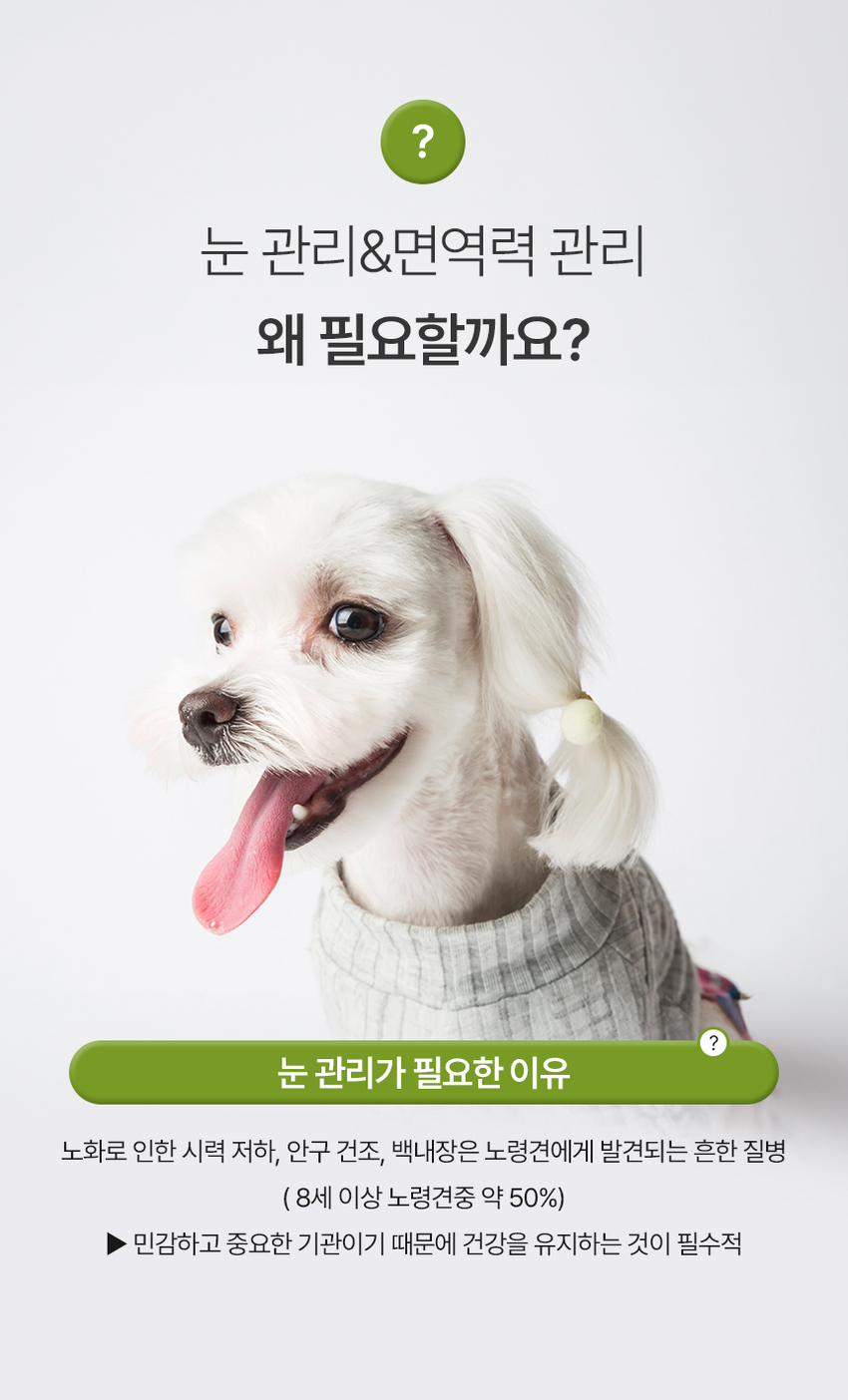 [무료배송] 엘릿 엘리트 파워업 간식 300g 12번째