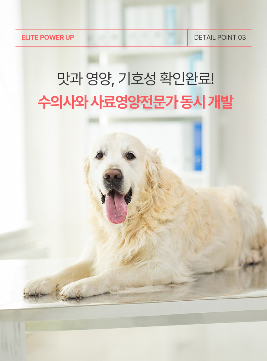 [무료배송] 엘릿 엘리트 파워업 간식 300g 10번째