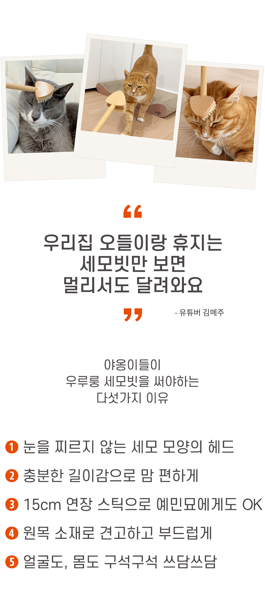 [NEW신상][무료배송] 우루룽 스튜디오 알로그루밍 세모빗 8번째