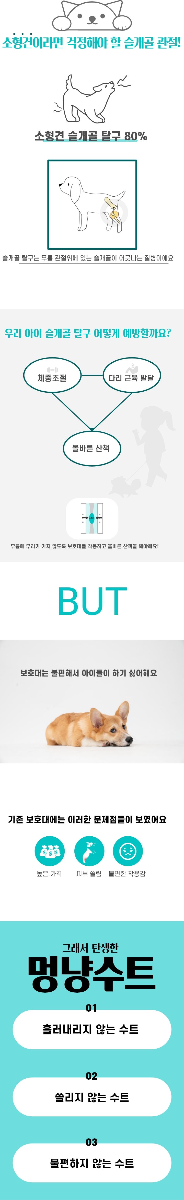 [무료배송] 멍냥키퍼 슬개골 탈구 예방 수트 블루/핑크 S-2XL 2번째