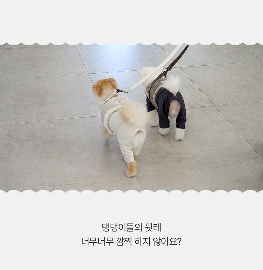 [무료배송] 초코펫하우스 강아지 보온 실내복 피치 기모 히트텍 15번째