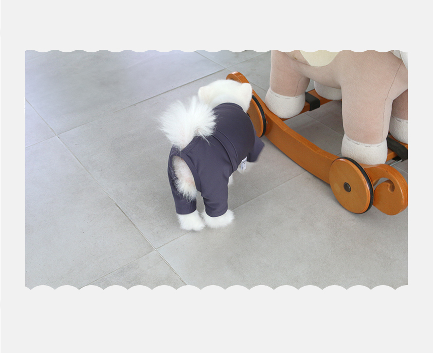 [무료배송] 초코펫하우스 강아지 보온 실내복 피치 기모 히트텍 7번째