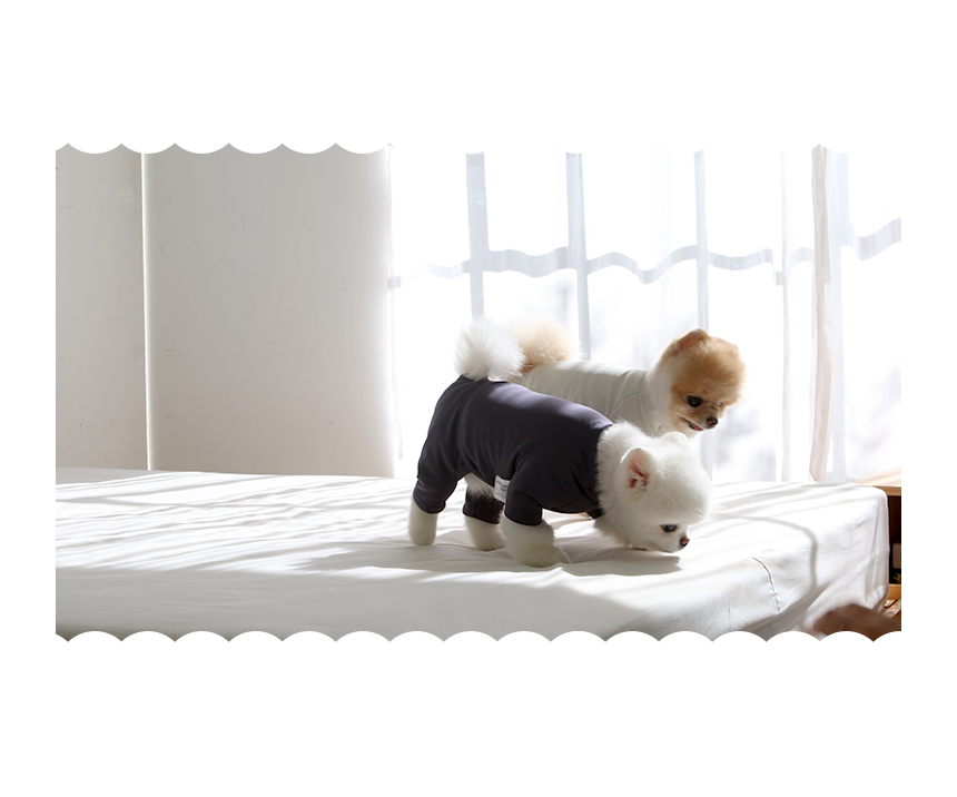 [무료배송] 초코펫하우스 강아지 보온 실내복 피치 기모 히트텍 11번째