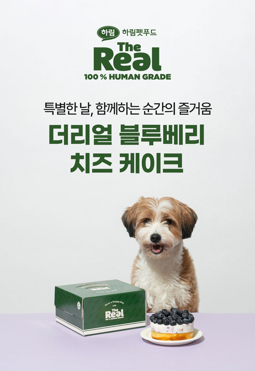 [무료배송] 더리얼 블루베리 치즈 케이크 330g+파티 3종 세트 2번째